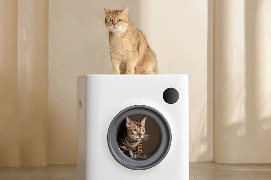 electric cat box