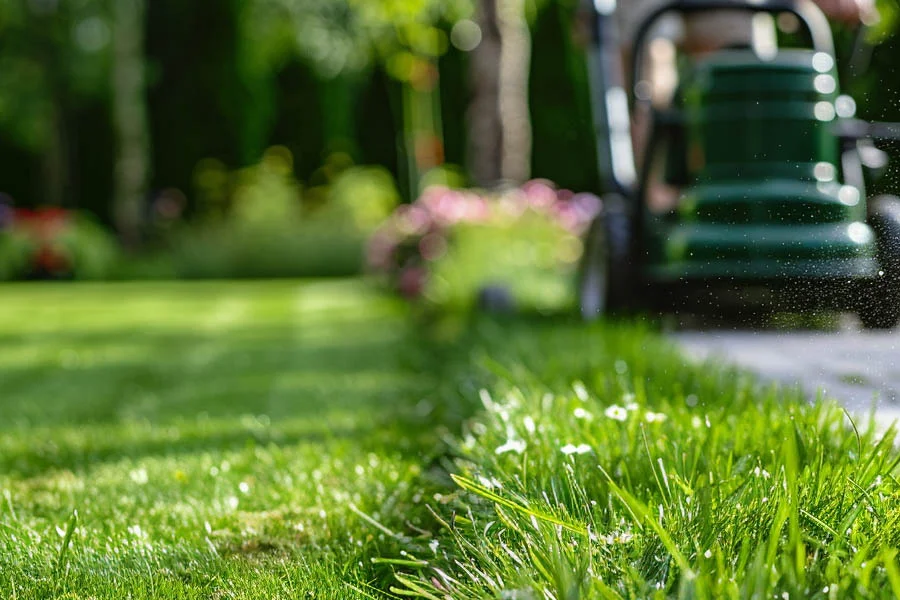 small battery operated lawn mower